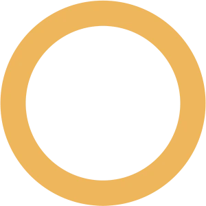 Ocypus