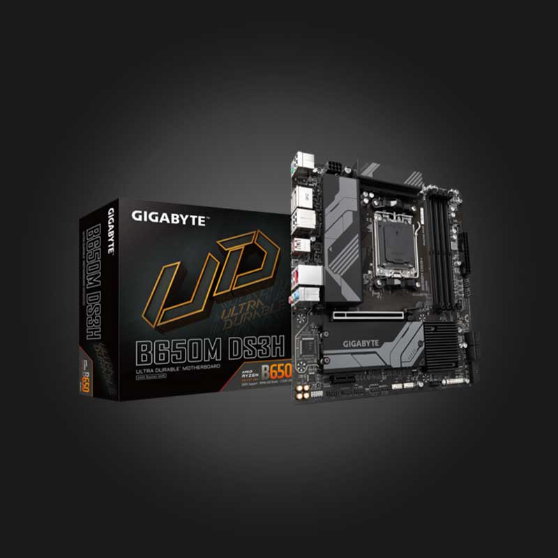 Gigabyte B650M DS3H Gamers 