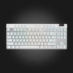 Logitech G PRO X TKL LIGHTSPEED White